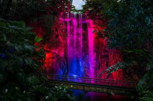 Architectuur - Lichtshow Burgers Zoo