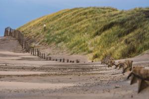 Landschappen - Een prikkelig rijtje