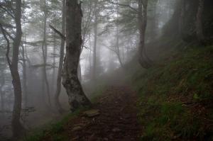 Natuur - Vallee de la Glere