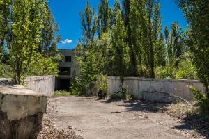 Urbex - Nature reclaims, Chernobyl